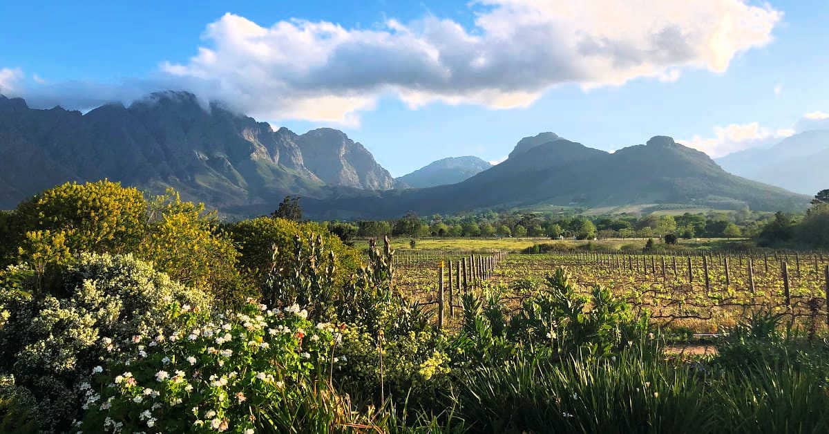 Cape Winelands