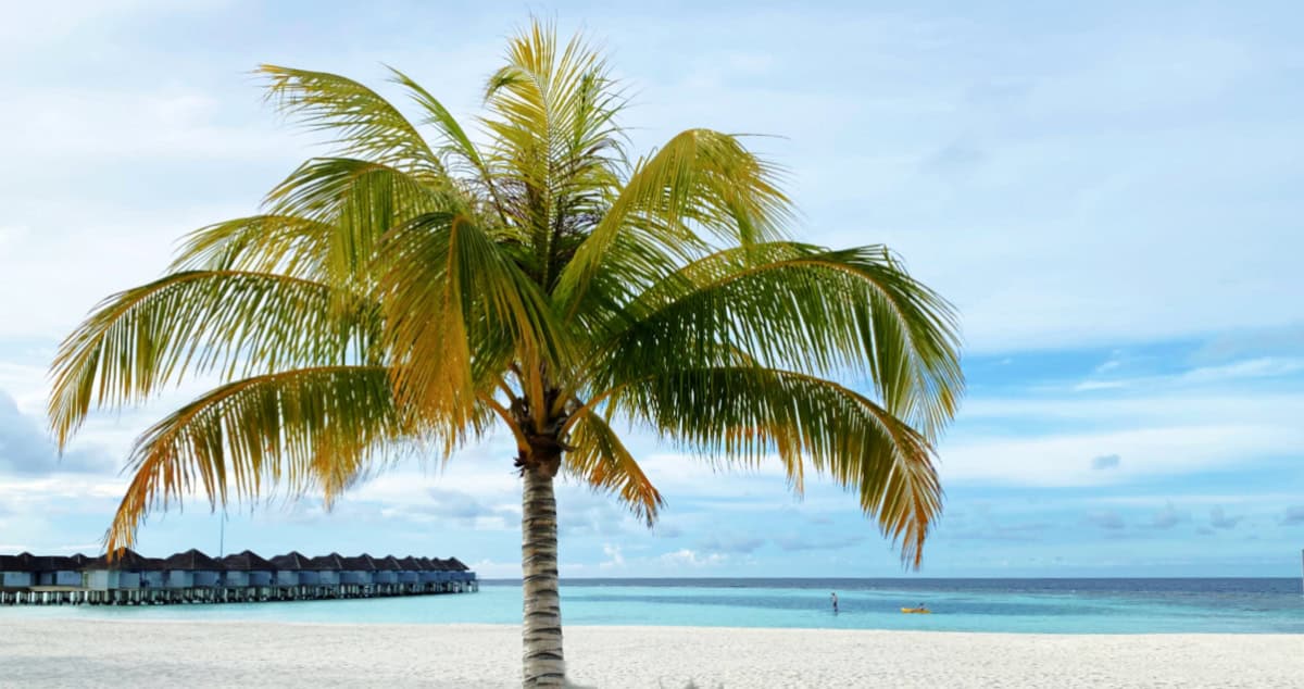 Enjoying the beach at Outrigger Maafushivaru Maldives Resort
