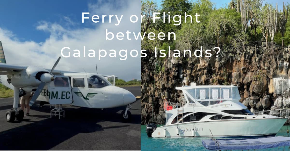 Take the ferry or flight beween Galapagos Islands