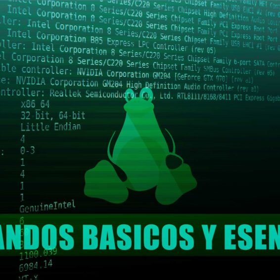 Comandos Básicos y Esenciales de Linux