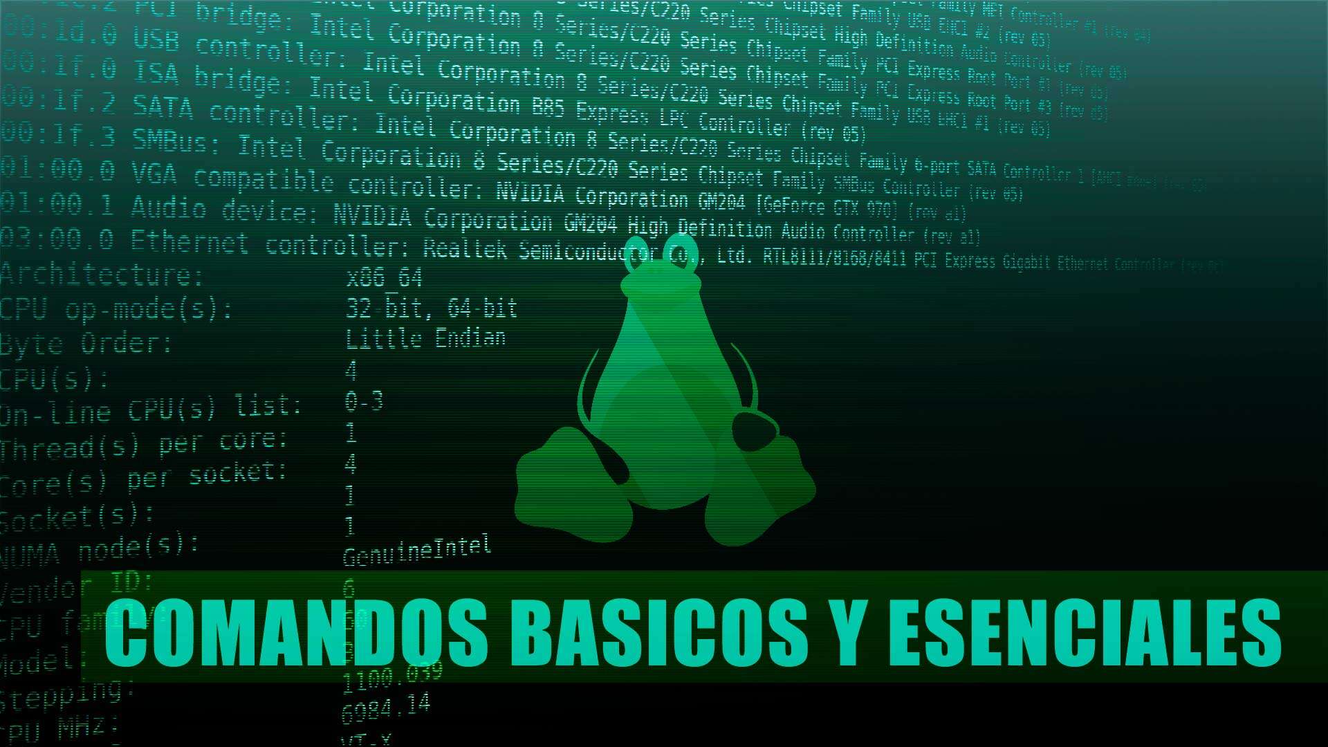 Comandos Básicos y Esenciales de Linux
