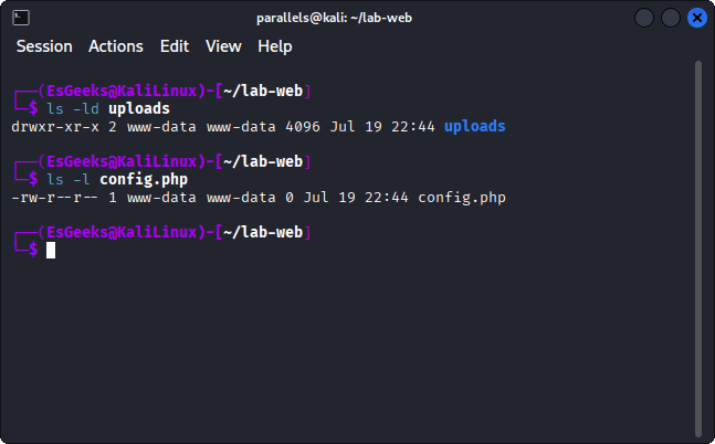 Permisos en Linux con chmod: 777, 755 y buenas prácticas