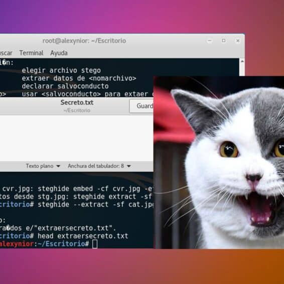 Steghide Esteganografía para ocultar datos en Imágenes