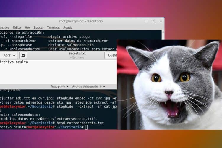 Steghide Esteganografía para ocultar datos en Imágenes