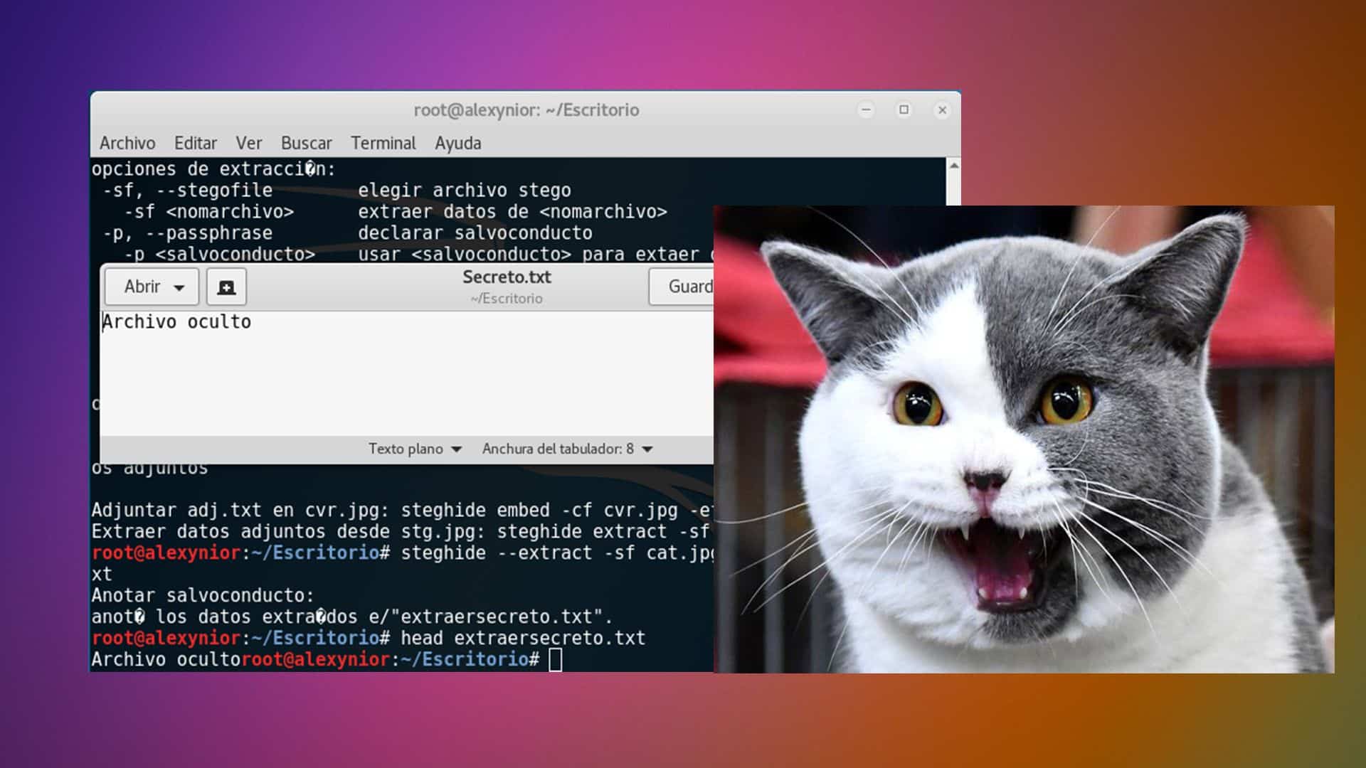 Steghide Esteganografía para ocultar datos en Imágenes