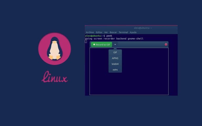 Cómo grabar y editar GIF con peek en Linux