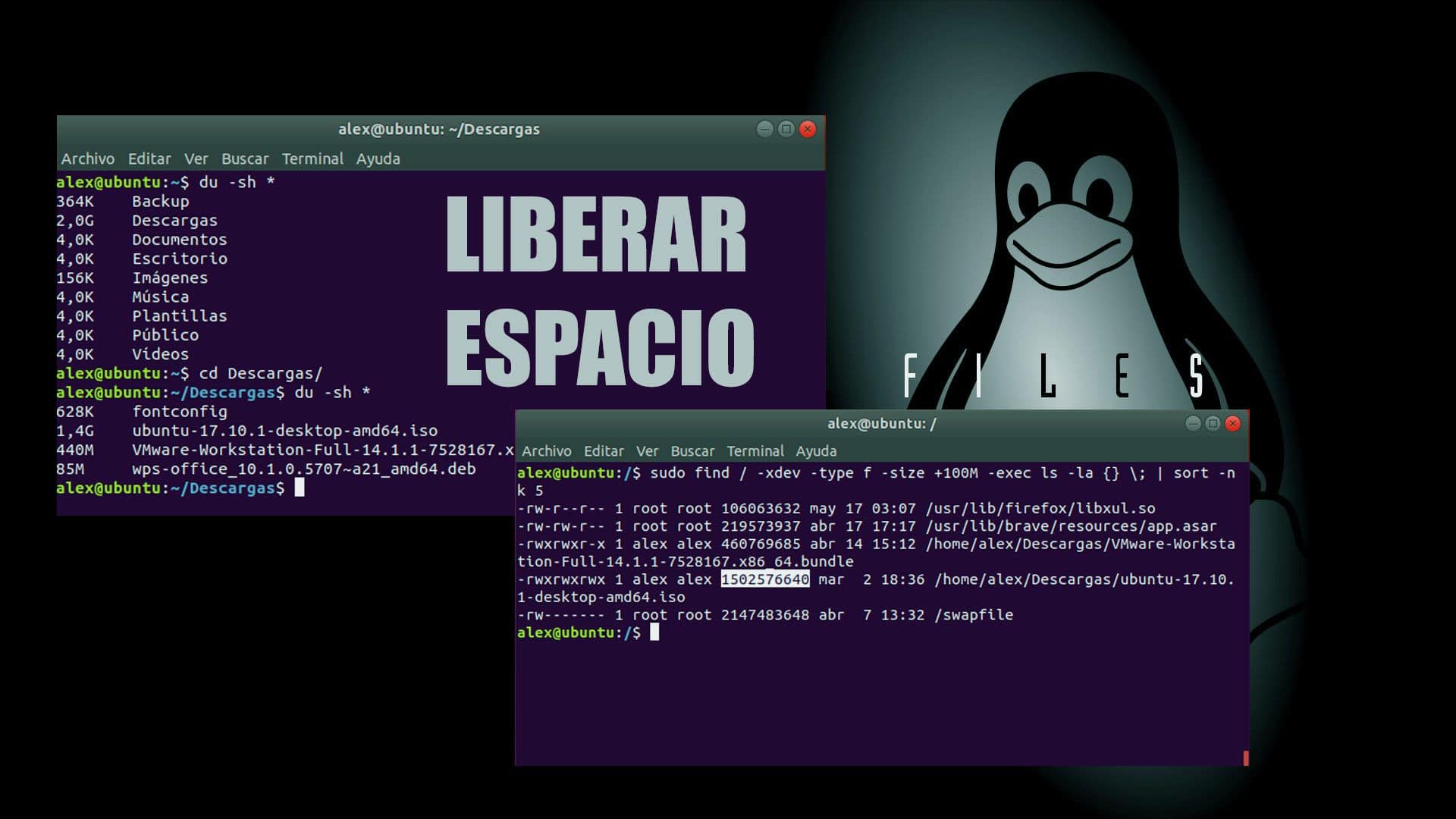 Cómo liberar espacio en disco en sistemas Linux