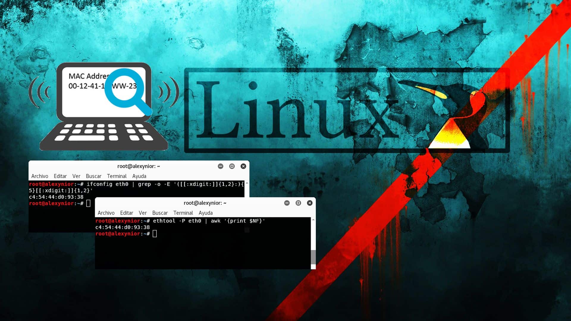 Comandos en terminal para dirección MAC en Linux