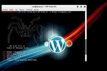 Detectar Usuario Versión Tema Plugins WordPress con WP-Grab-Info
