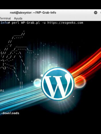 Detectar Usuario Versión Tema Plugins WordPress con WP-Grab-Info