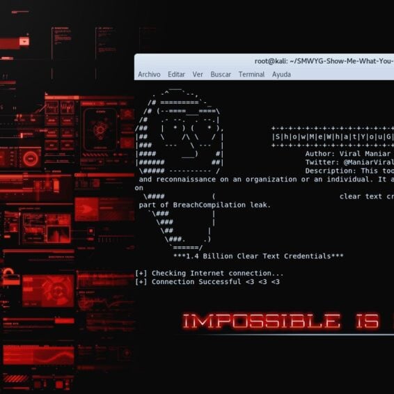 SMWYG-Show-Me-What-You-Got buscar contraseñas