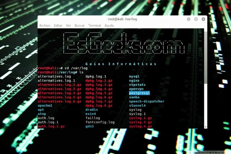 Revisar registros o log del sistema en Linux