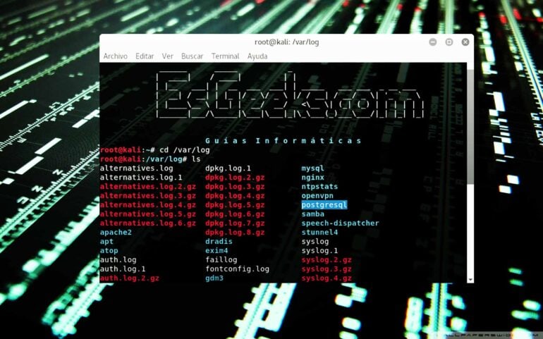 Revisar registros o log del sistema en Linux