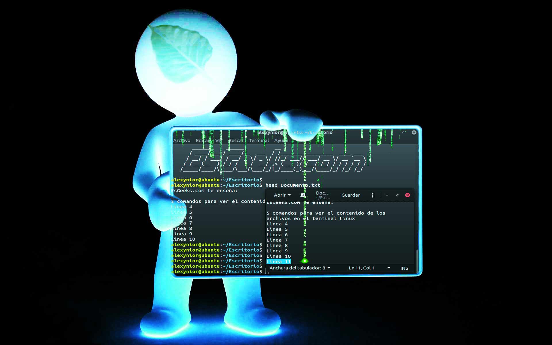 Comandos para ver contenido de archivos en terminal