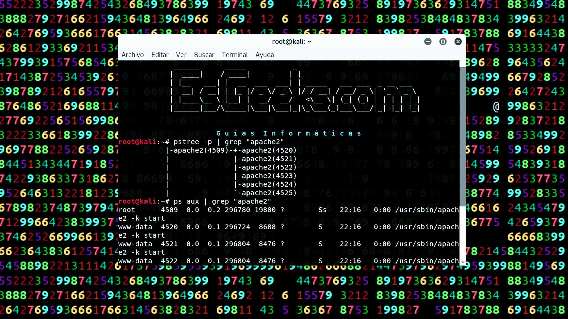Cómo usar Kill, Pkill y Killall para matar procesos Linux