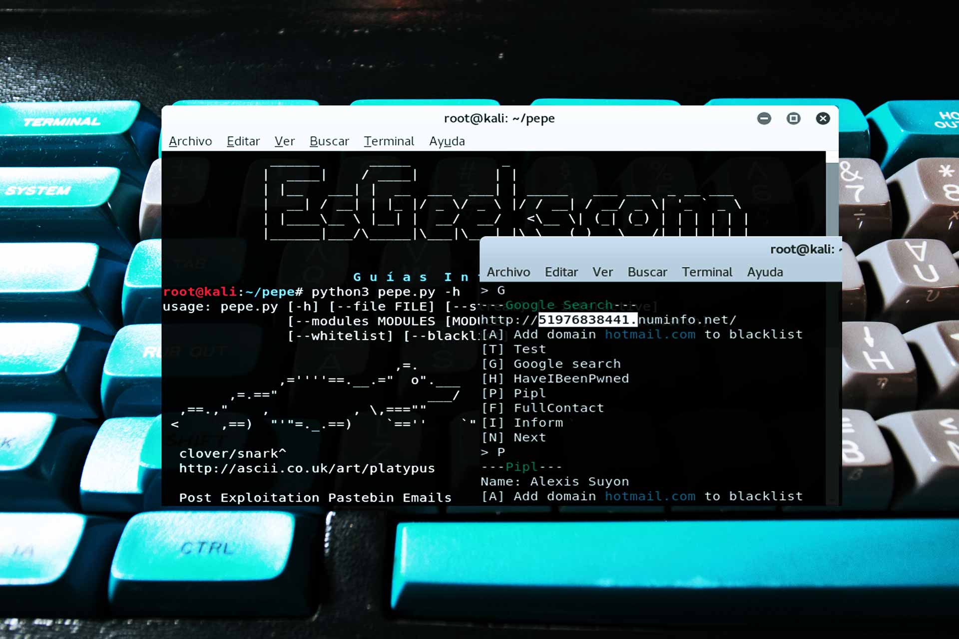 Pepe.py Recopilar información emails contraseña Pastebin