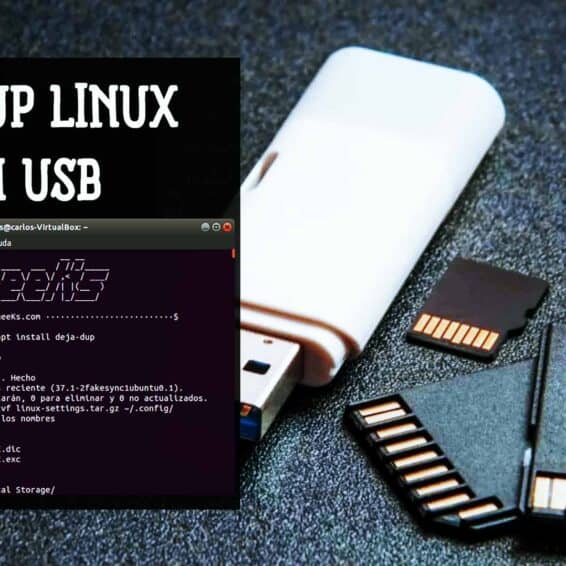 Crear backup de configuración Linux en USB