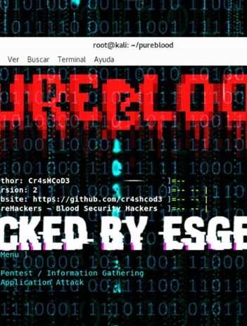 Pure Blood Framework para Hackers, Pentester y Bug Hunter