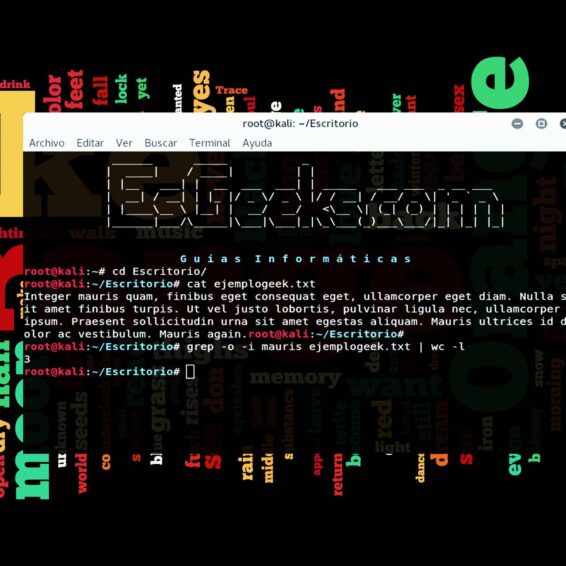 Contar frecuencia de palabras en archivo texto Linux