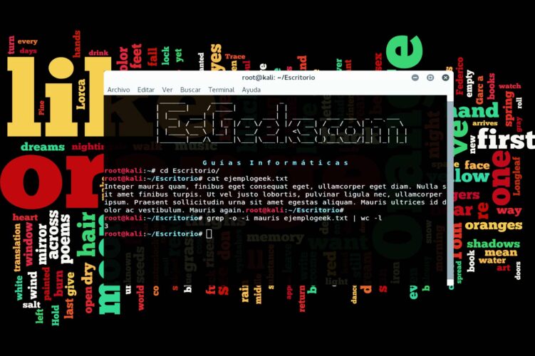Contar frecuencia de palabras en archivo texto Linux