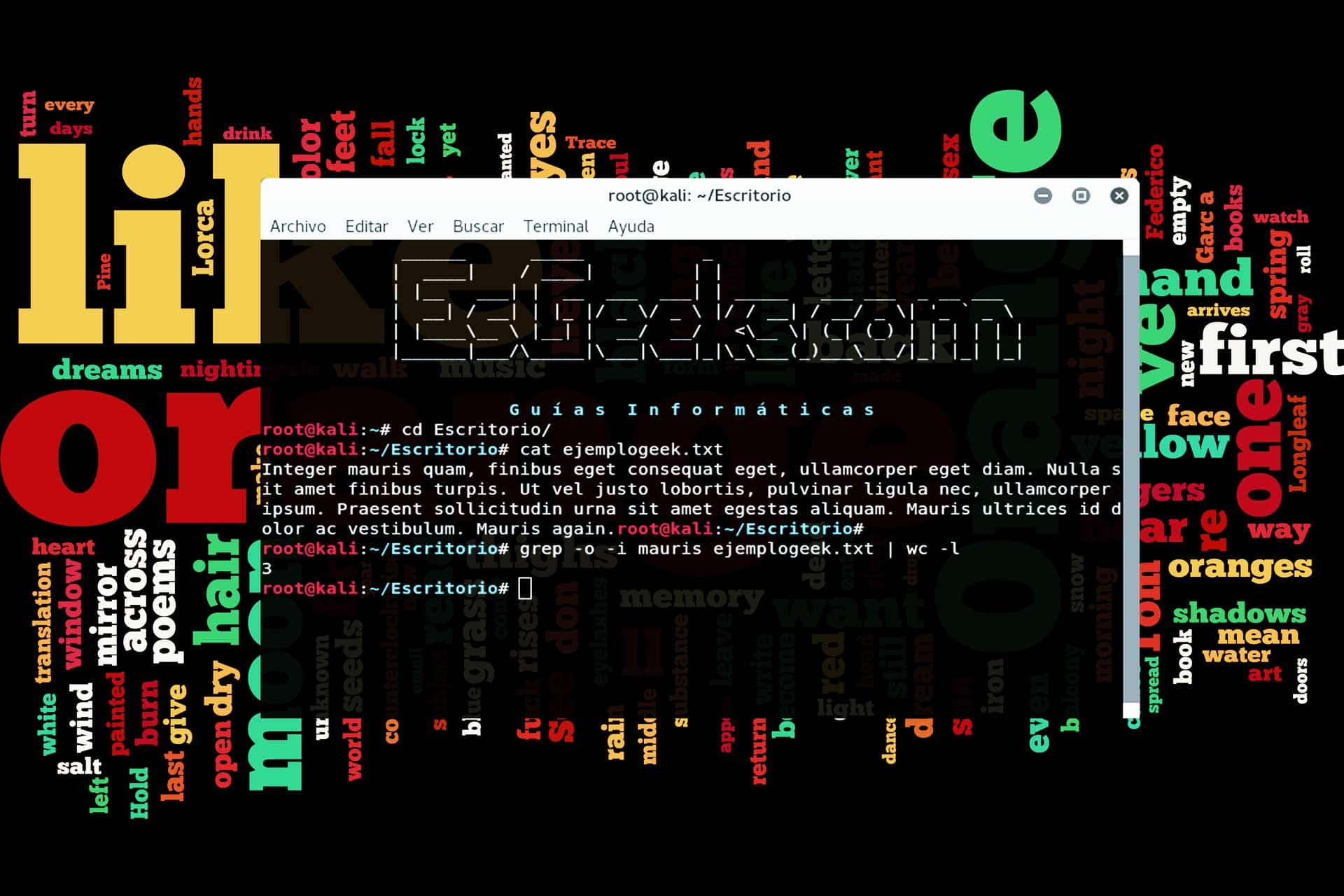 Contar frecuencia de palabras en archivo texto Linux