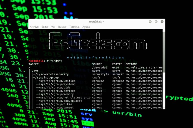 Ejemplos del comando findmnt