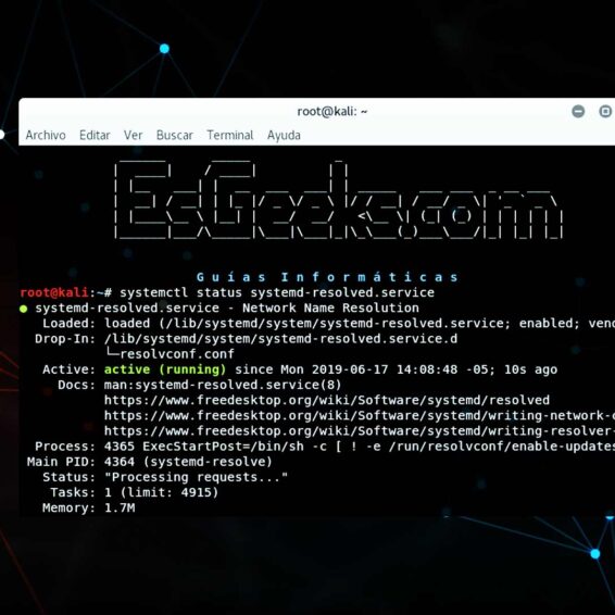 Limpiar el caché de DNS en Linux
