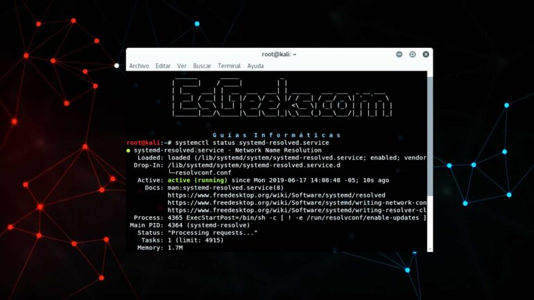 Limpiar el caché de DNS en Linux