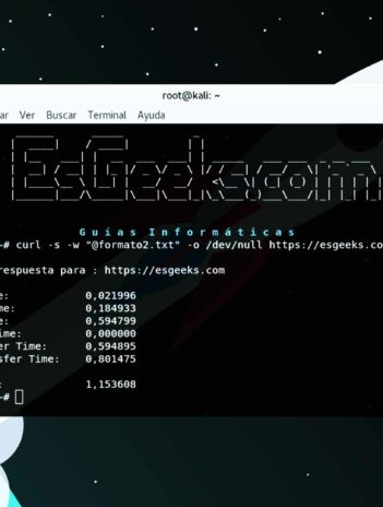 Test velocidad de carga de sitio web en terminal Linux