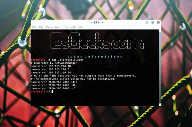 Encontrar dirección IP de servidor DNS en Linux