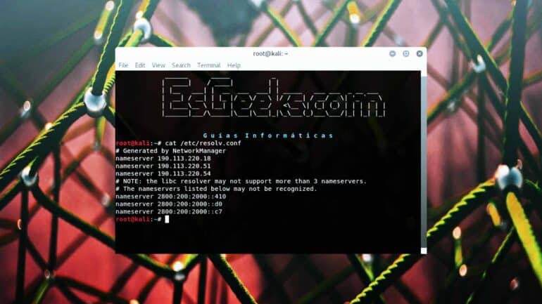 Encontrar dirección IP de servidor DNS en Linux