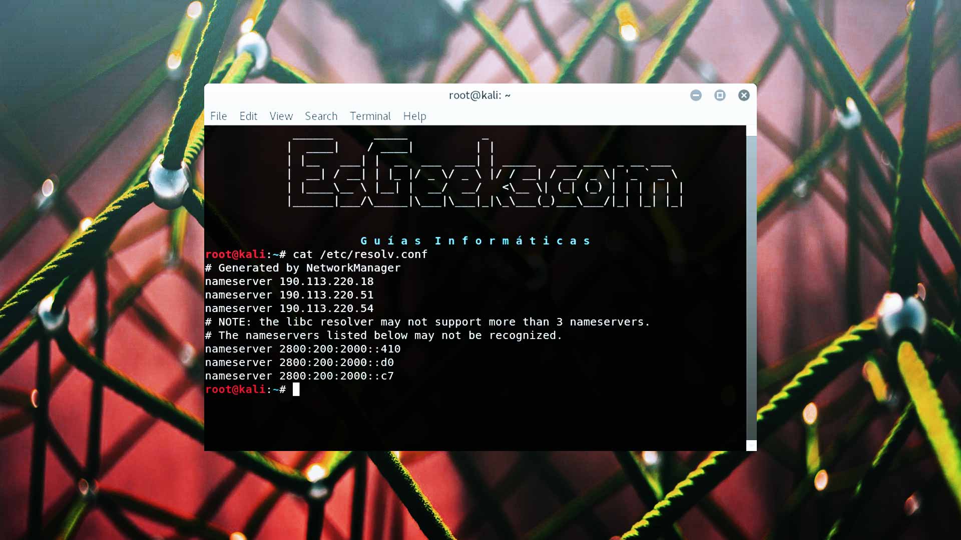 Encontrar dirección IP de servidor DNS en Linux