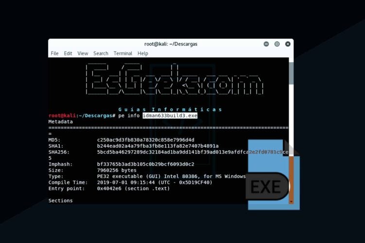 pe CLI para analizar archivos PE