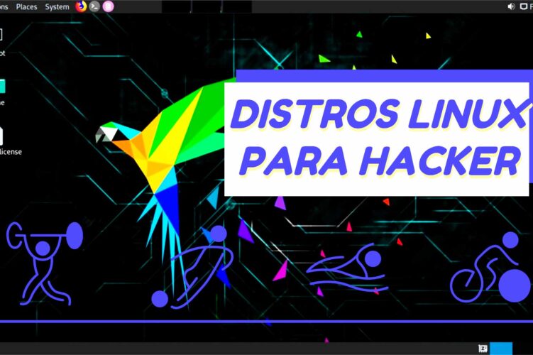 Distros Linux para Hacking y Pentesting