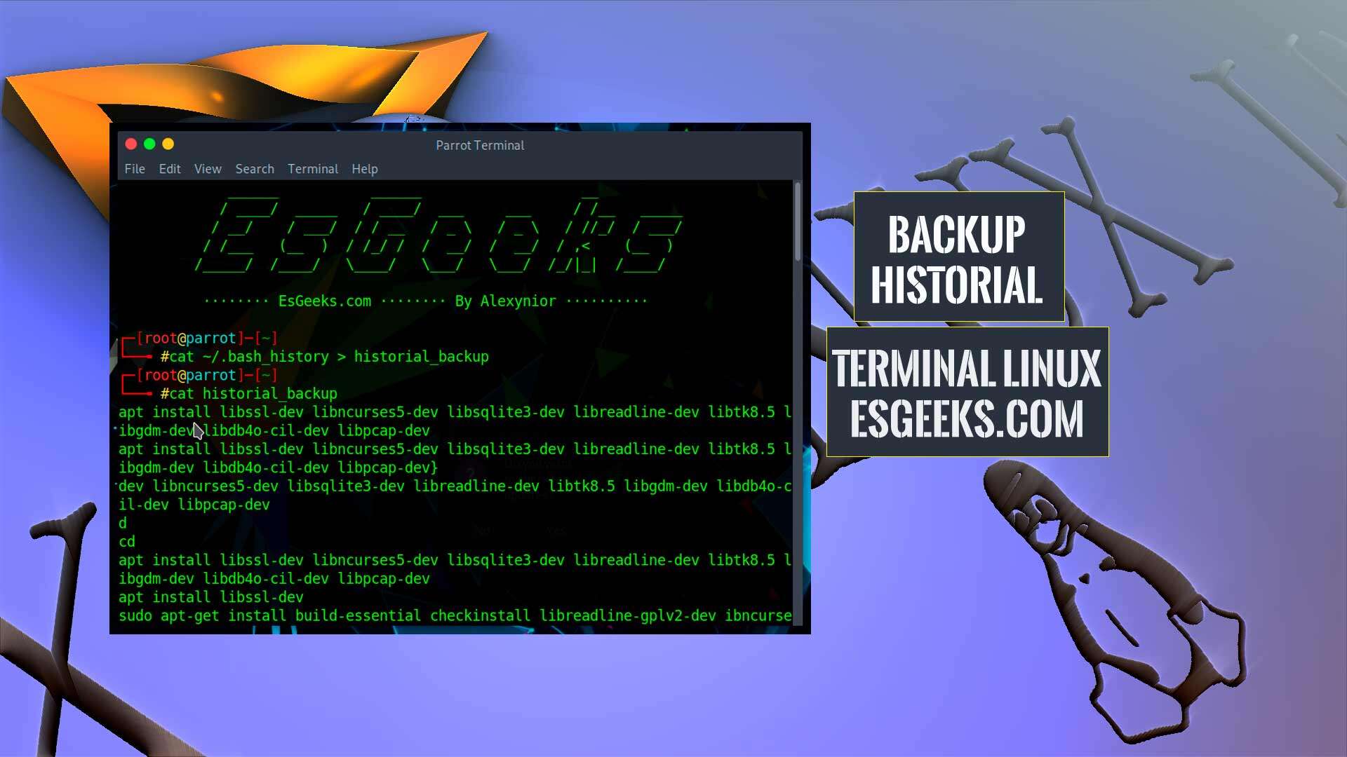 Copia de seguridad del historial de la terminal Linux