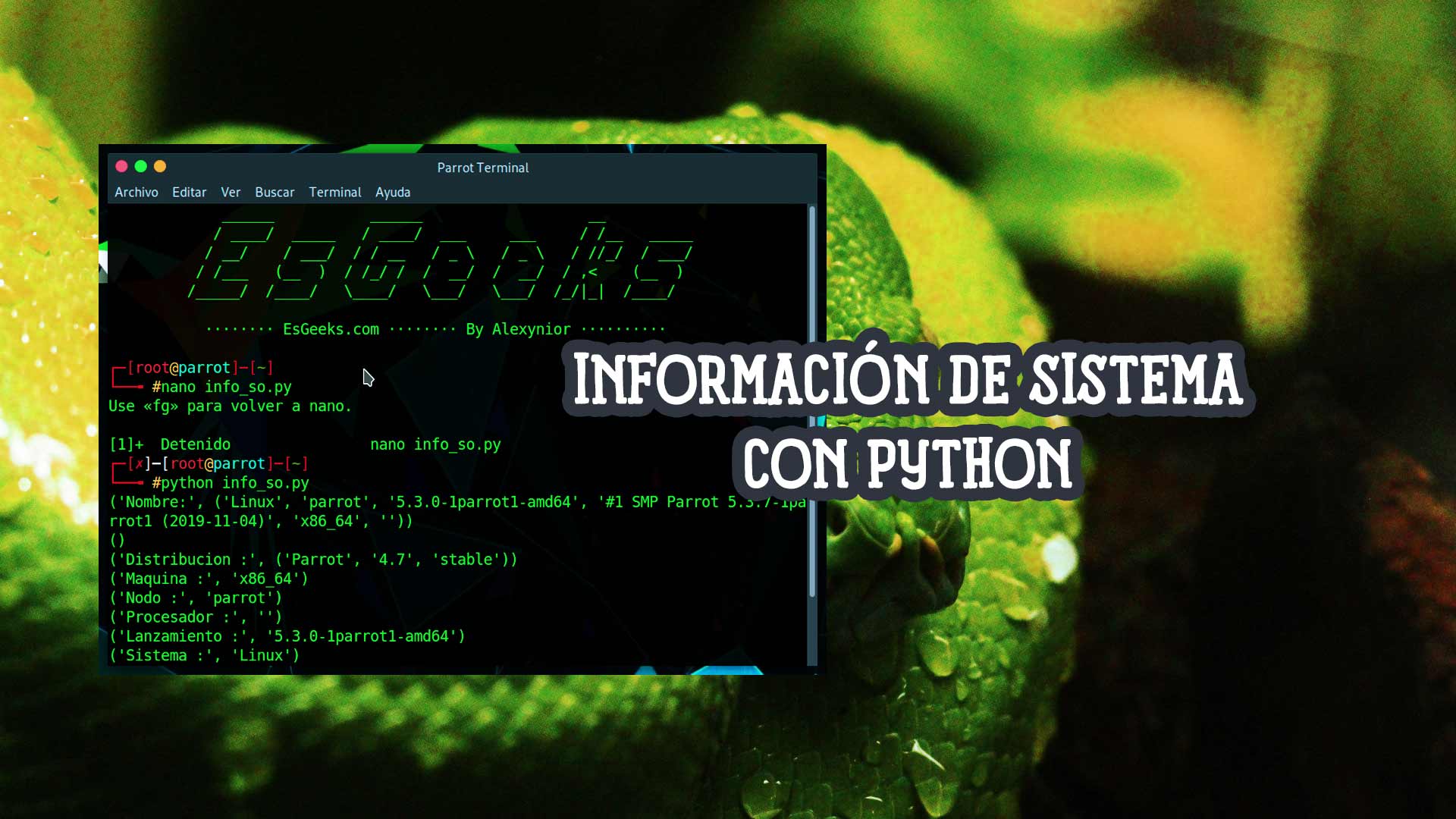 Encontrar detalles sistema Linux con Python