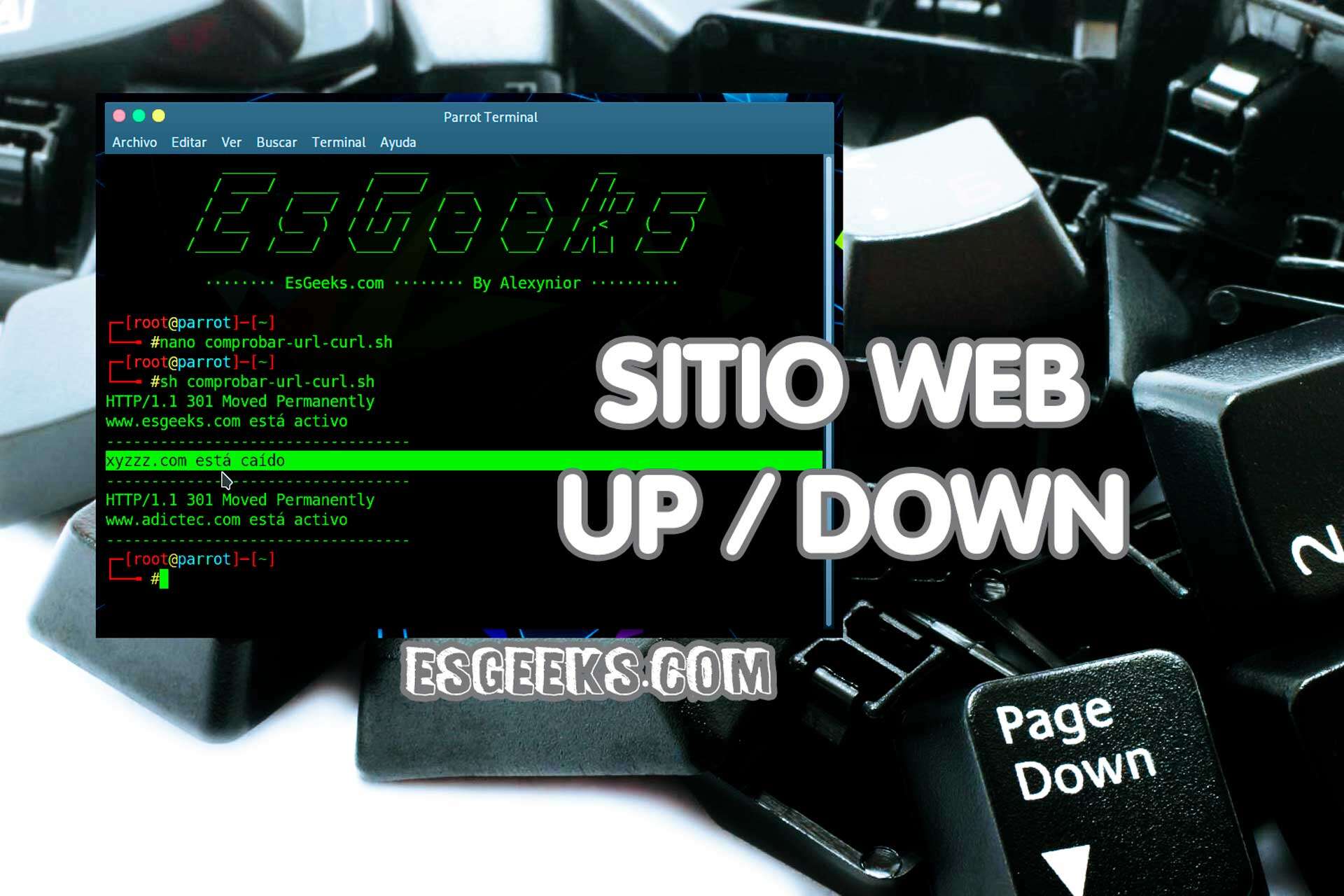 Comprobar sitio caído o activo desde terminal Linux