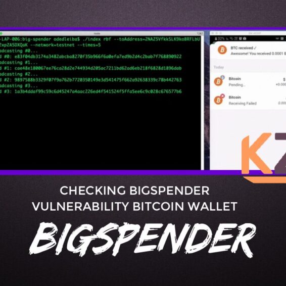 BigSpender Checking BigSpender Vulnerability Bitcoin Wallet