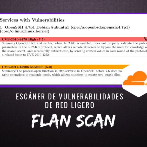 Flan Scan Escáner Vulnerabilidades Red Ligero