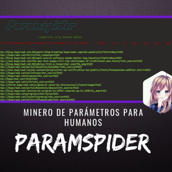 ParamSpider Extractor Parámetros para Humanos