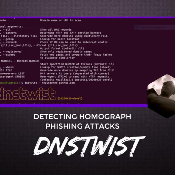 dnstwist Anti-phishing Domain Name Search Engine