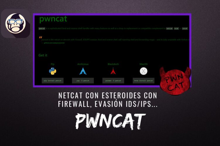 pwncat netcat con Esteroides Firewall, evasión IDS IPS