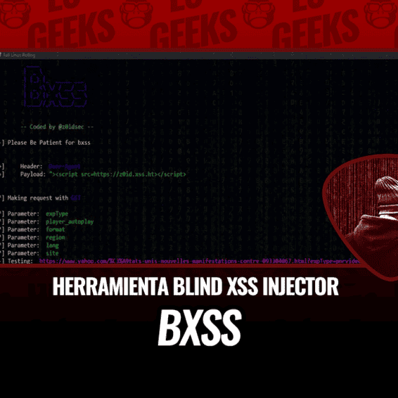 Bxss una herramienta Inyección Blind XSS
