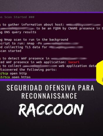Raccoon Seguridad Ofensiva Reconnaissance