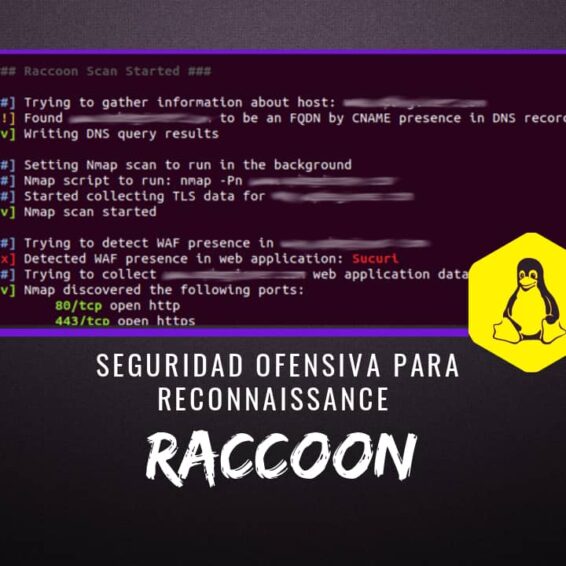 Raccoon Seguridad Ofensiva Reconnaissance