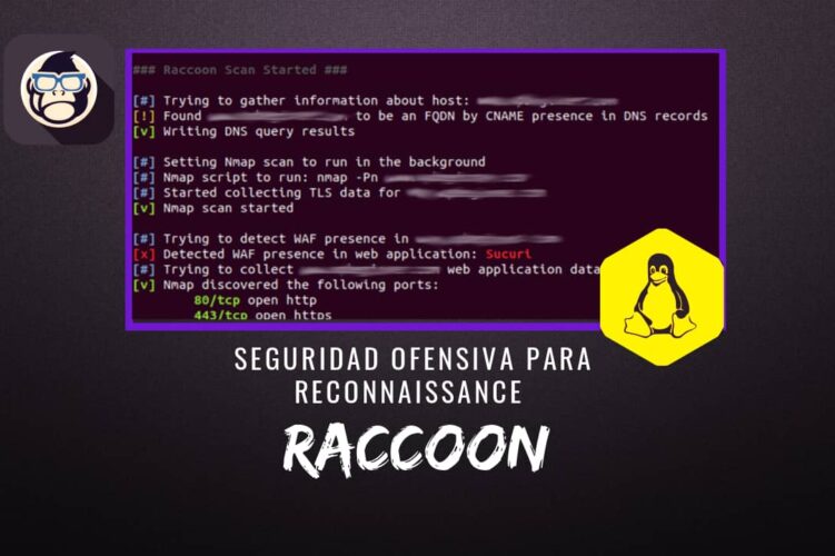 Raccoon Seguridad Ofensiva Reconnaissance