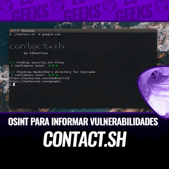 contact.sh OSINT Informar Vulnerabilidades Seguridad