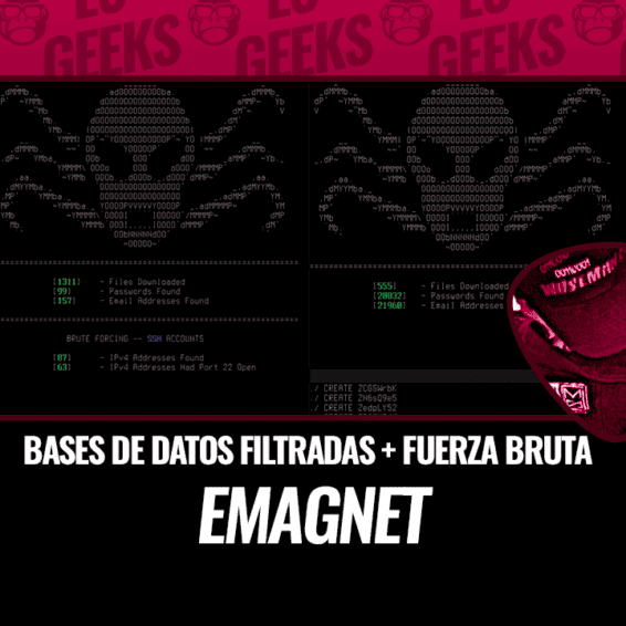 EMAGNET Bases de Datos Filtradas y Fuerza Bruta
