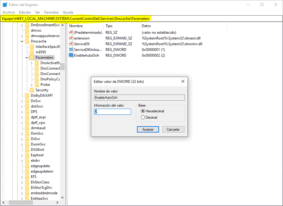 Cómo Habilitar DNS sobre HTTPS (DoH) en Windows 10 » EsGeeks