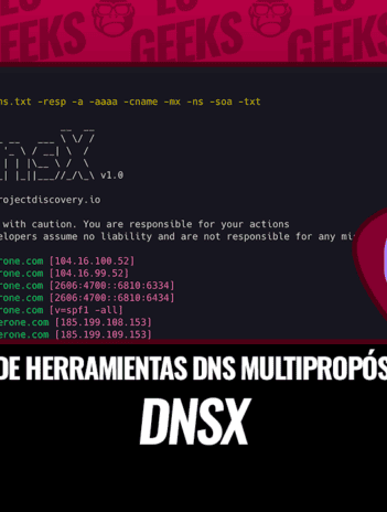 DNSX Kit de Herramientas DNS Multipropósito